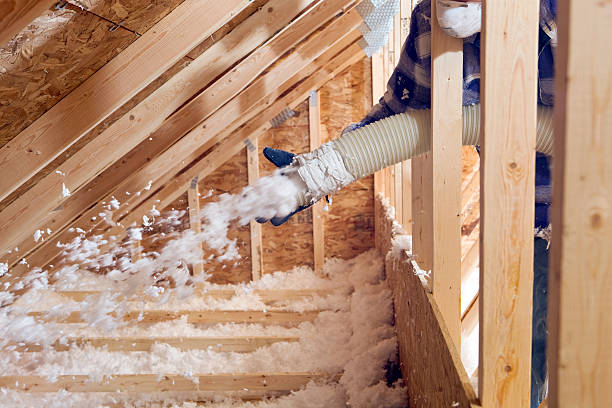 Best Commercial Insulation Services  in Lake Los Angeles, CA